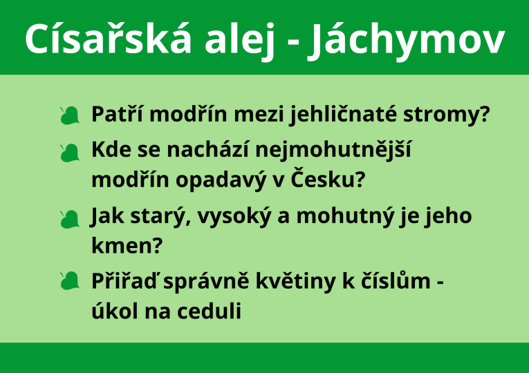 kvíz 12