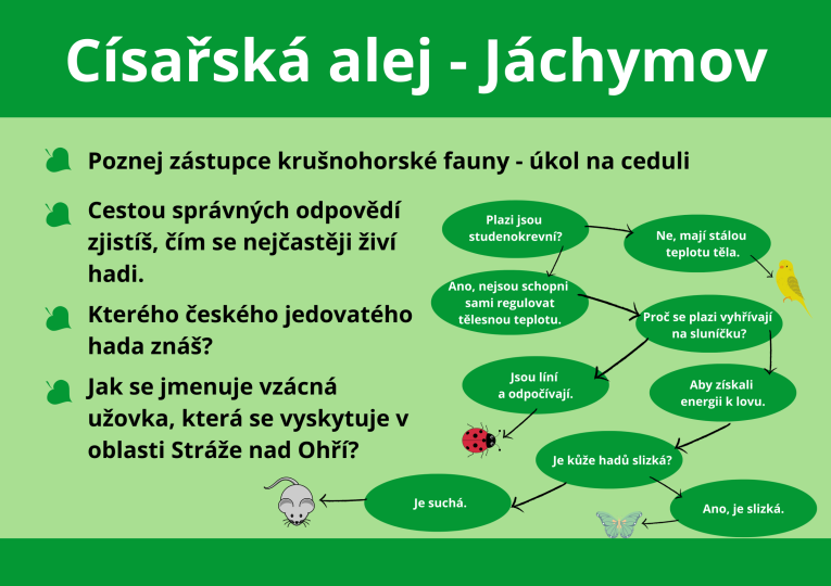 kvíz 14
